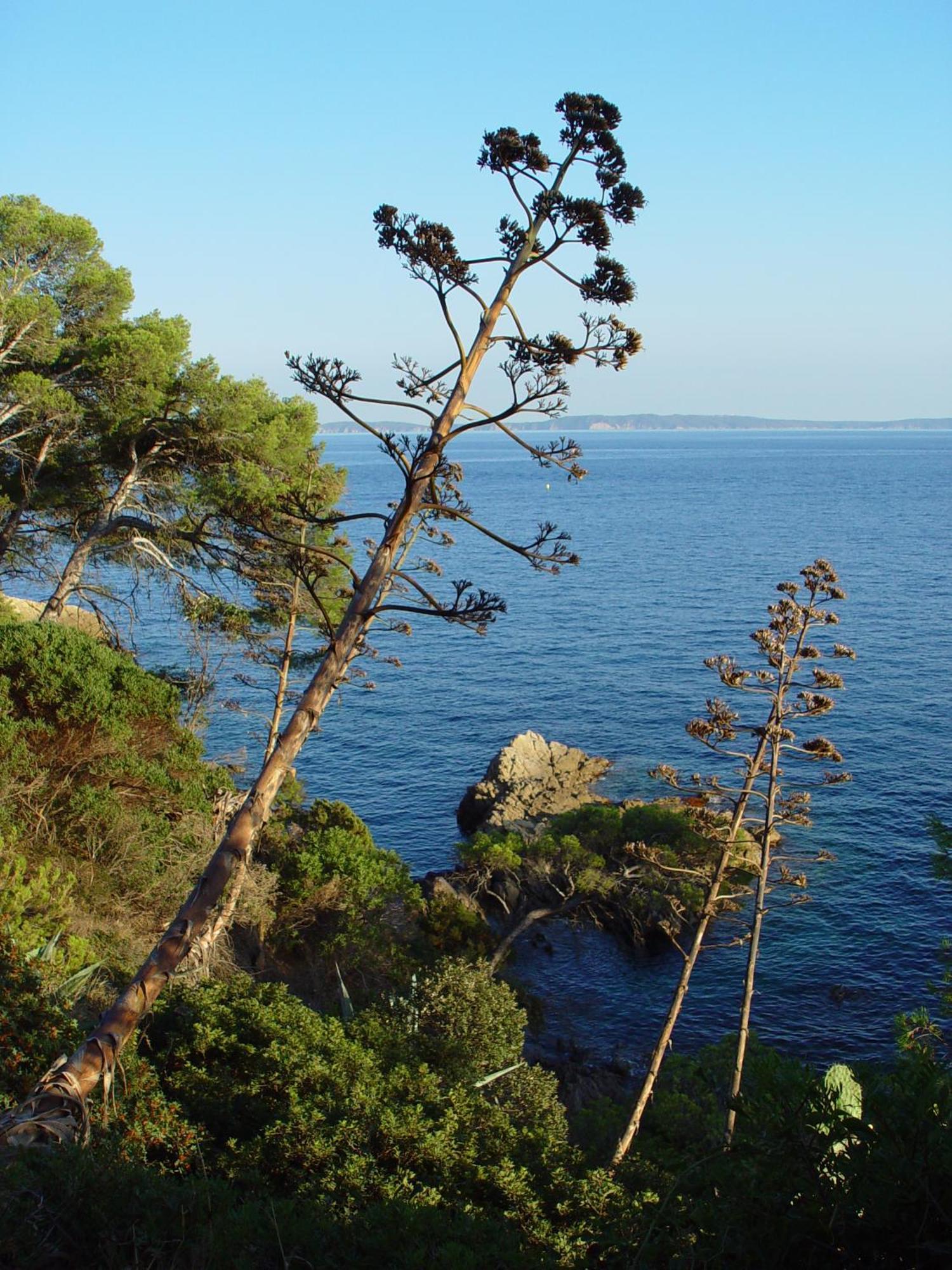 Hotel Les Alcyons 4*